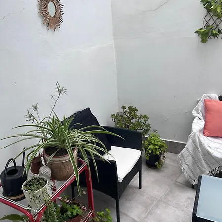 Ohana Raiz Casa Con Patio Parking Gratuito Y Exclusivo *