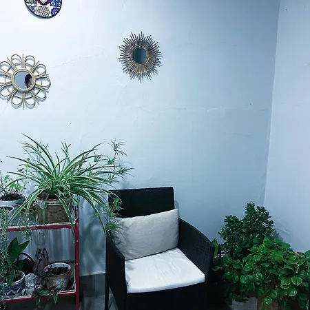 Holiday home Ohana - Centro - Parking Gratis - Pet Friendly - Todo A Pie - Espacios Exclusivos