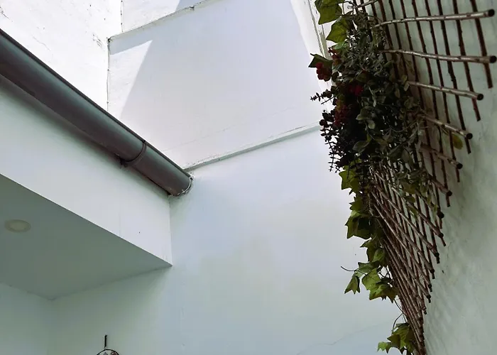 Holiday home Ohana Raiz Casa Con Patio Parking Gratuito Y Exclusivo Merida