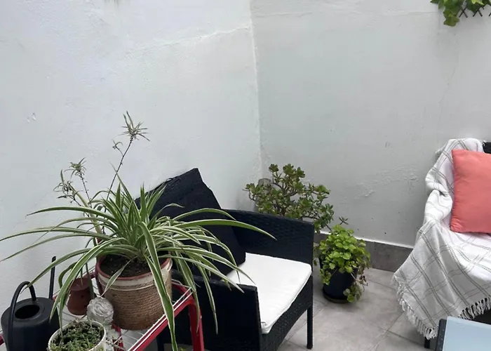 Ohana Raiz Casa Con Patio Parking Gratuito Y Exclusivo *